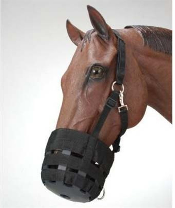 Export harness Horse mouth cover Horse mouth cover Horse mouth anti-bite sleeve Horse cage pullover Horse equipment Equestrian supplies