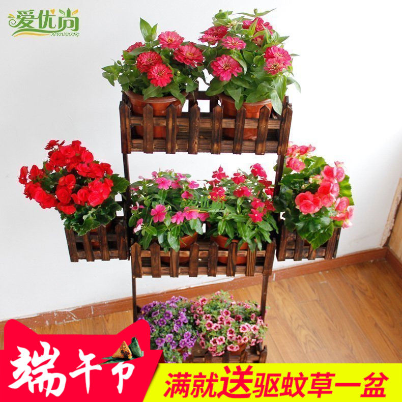 �����з���ľ����02