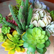 Find point simulation succulent plant stone lotus Guanyin lotus bergamot cactus fake meat potted green plant landscaping