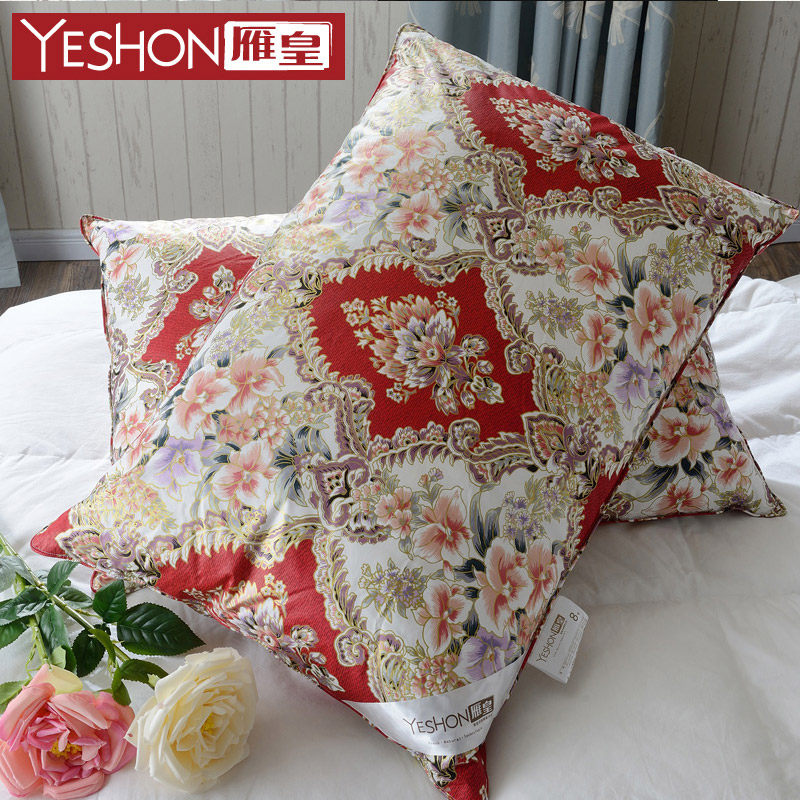 ������������г���͸��������ZXYR001