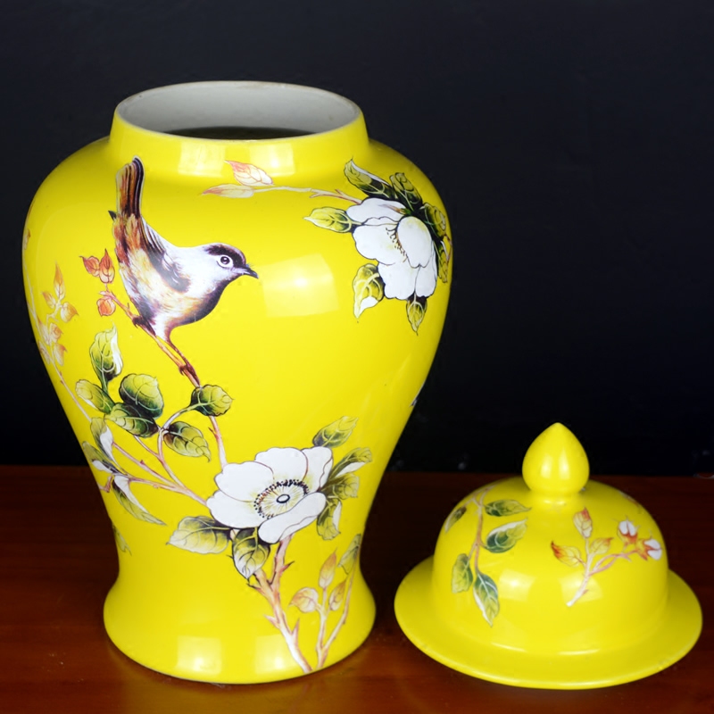 Jingdezhen porcelain pot vase flower arrangement sitting room of large storage tank wine household soft adornment is placed between the example