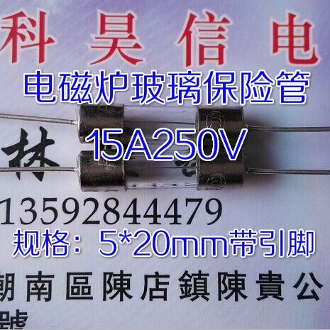 New glass fuse 5*20mm 15A 250V with lead induction cooker common accessories