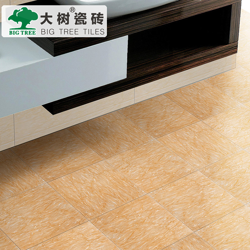 ������Լ�ִ���שDS30418