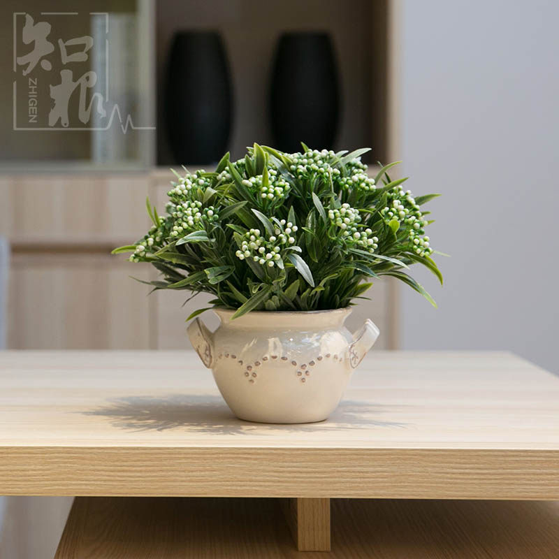 ֪���߷���ֲ�ﻨTZ-356