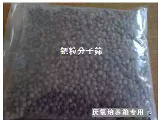Special palladium particle molecular sieve anaerobic catalyst for anaerobic incubator Anaerobic box installation and use