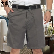 Mùa hè người đàn ông trung niên của quần cotton lỏng cha nạp trung niên kích thước lớn phần mỏng giản dị năm điểm phù hợp với quần short