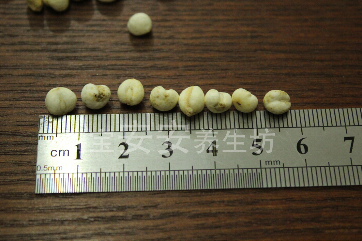 Growing bai 500g babe bai 500g bai bai bai for bai planting bai non - Sichuan bai
