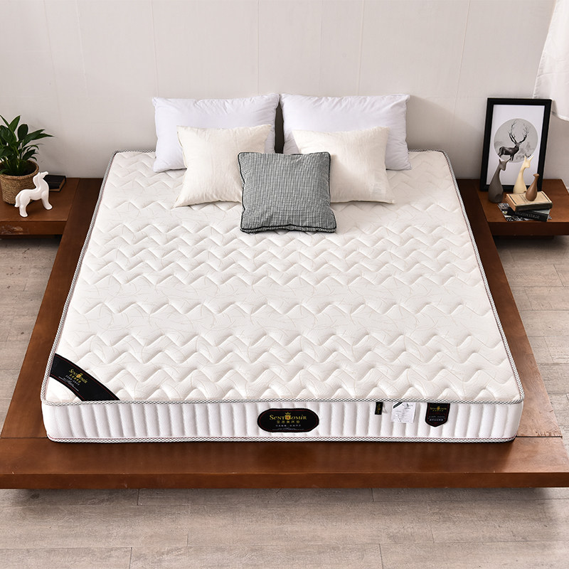 ʥ�������浯�ɴ���H0010