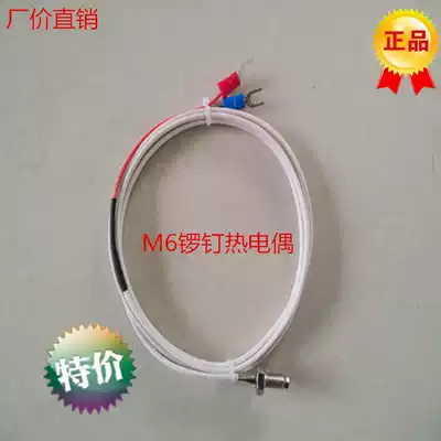 WRNT-01 02 K E-type glass fiber wire M6 screw type thermocouple temperature sensor Monitor temperature line