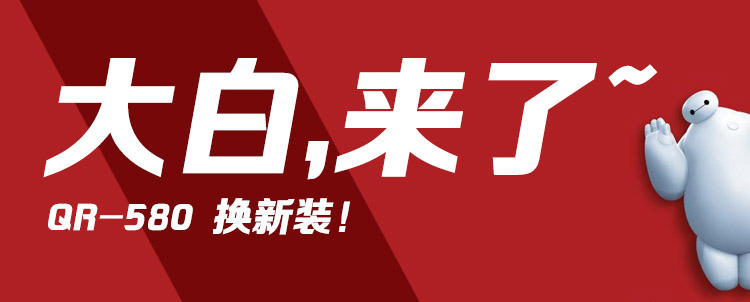 Qi Rui QR580 520 668 588 Electronic Face Sheet Printer PrintHead Print Header