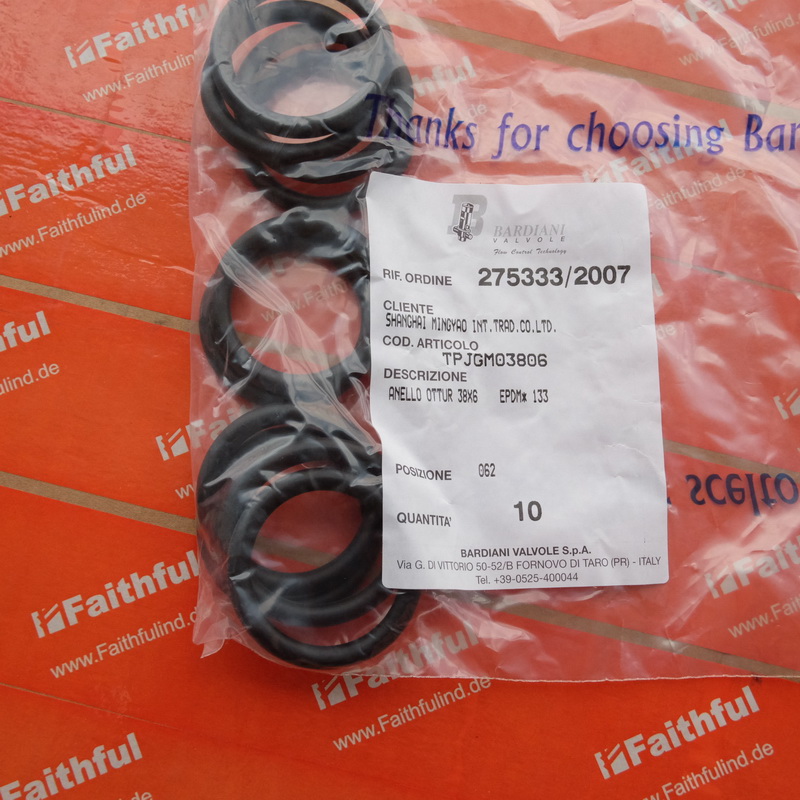 Bardiani TPJGM03806 Bardiani valve in Italy with sealing ring