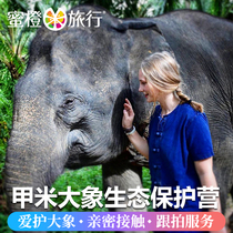 Honey Orange Travel Krabi Thailand One-day tour Public welfare Elephant Protection Camp Bathing feeding Parent-child interactive Half-day Tour