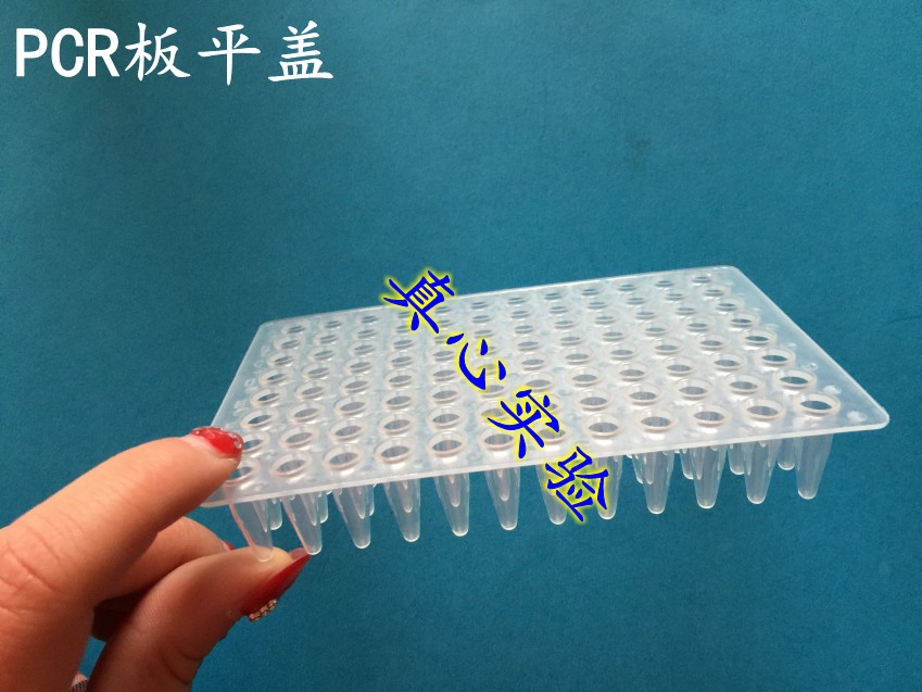 优质 96孔 PCR板 平面 无边 20片/包  厂家直销