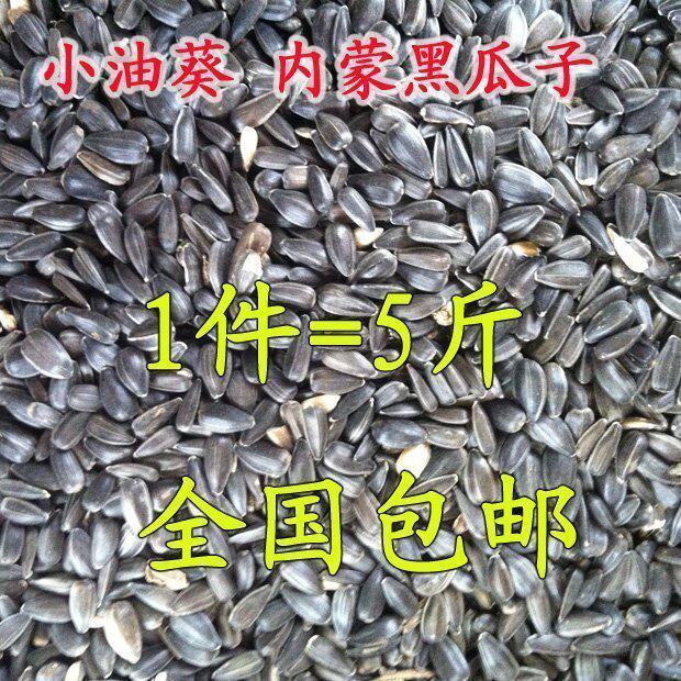 Special black pearl melon seeds Sunflower seeds oil Sunflower seeds Parrot bird food Hamster snacks Wanheng Pet 5 pounds