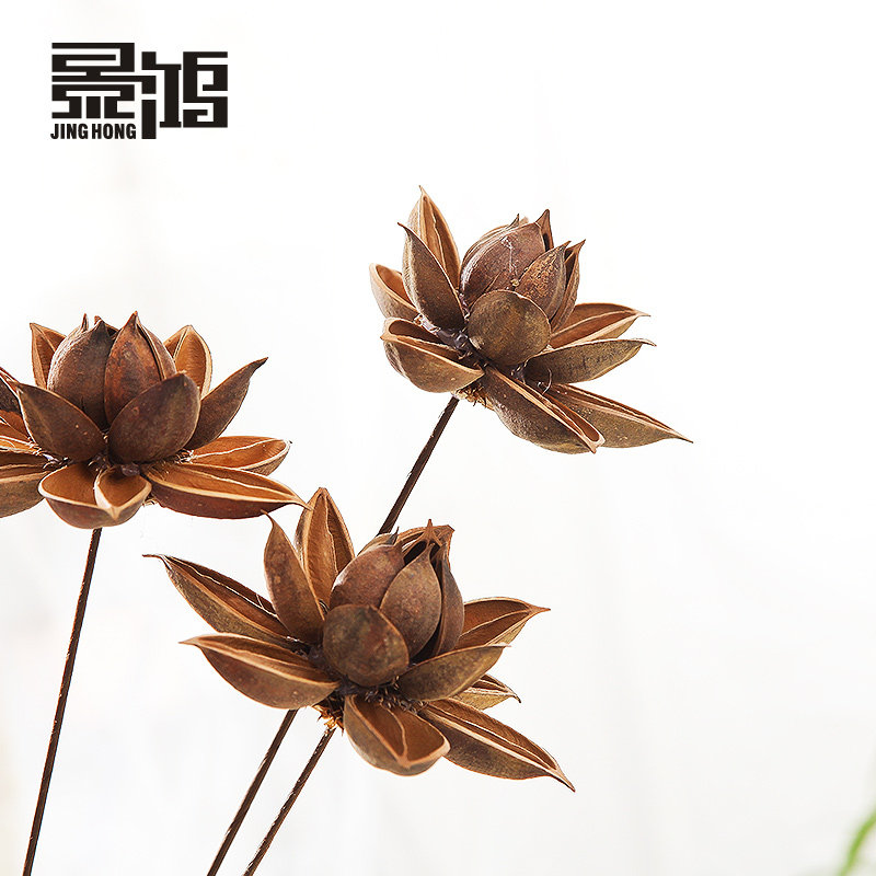 ����ľ����/̨������ٻ�0006