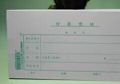 Wealth management, finance and taxation brand, payment voucher, accounting voucher, special purpose for finance 9 5x17 5cm 90 sheets