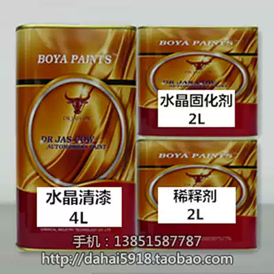 Car paint Varnish Curing agent diluent set Spray paint Metal paint varnish Shiny oil Thin material topcoat accessories