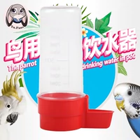 Fan hâm mộ mưa Vẹt Starling Parrot Pigeon Pigeon Máy uống nước tự động Bộ nạp nước - Chim & Chăm sóc chim Supplies ban long chim