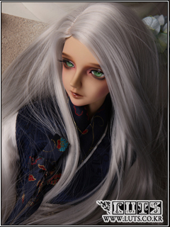 (LUTS) Senior65 Delf ASH (customs declaration group)