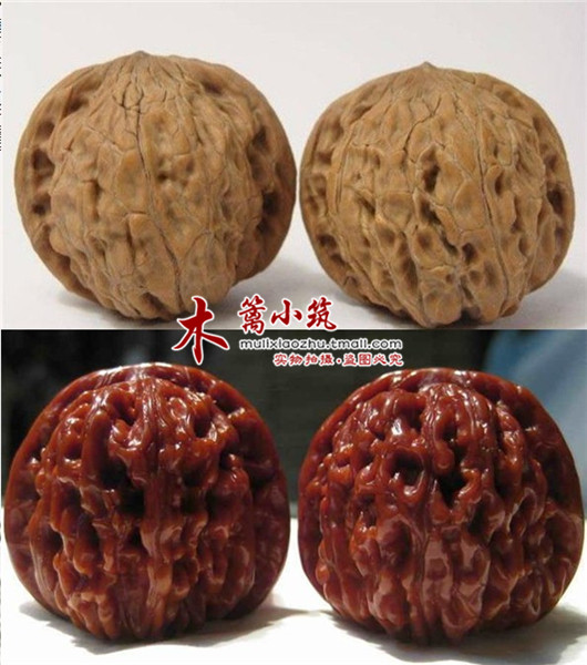 【闷尖狮子头】文玩核桃/麻核桃/四座楼/满天星狮子头等核桃苗