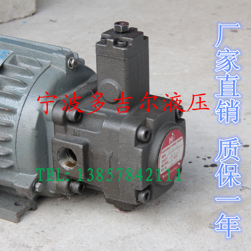 Hydraulic inner shaft motor oil pump combination 0 75KW VP15 CBN 1 5KW VP20 VP20 2KW 2KW etc.