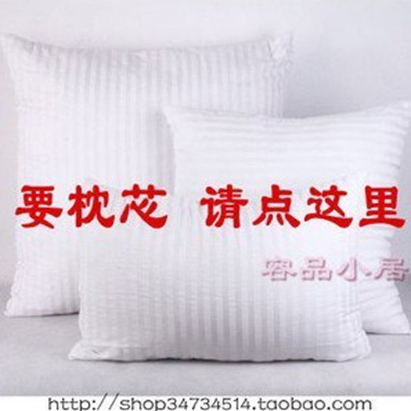 Special quality 53x3245x4560X6070x70 with zipper full sofa waist pillow cushion cushion core