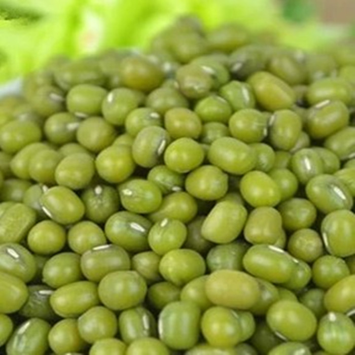 New goods farmhouse green beans farmhouse self-produced green beans green beans