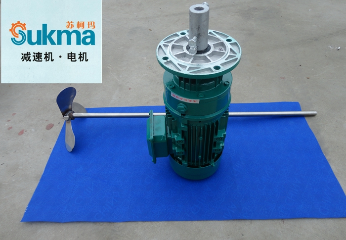 Processing custom vertical cycloid reducer BLD0 mixer mixing machine dosing device 304 material