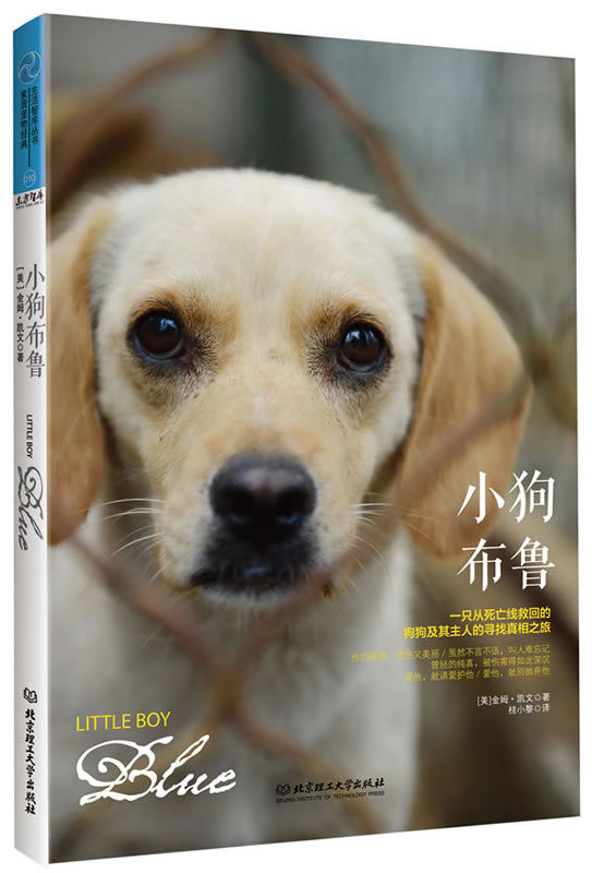 正版包邮小狗布鲁（一只从死亡线救回的狗狗极其主人的寻找真相之旅）正品图书书籍