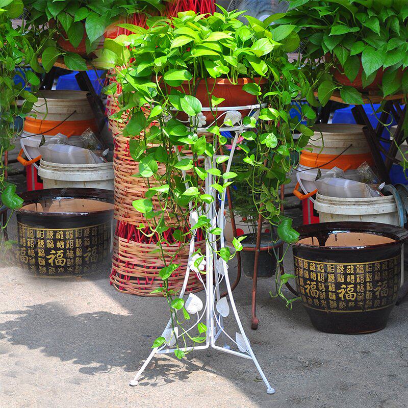 �����������ʽ����11003