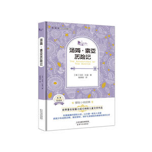 汤姆 索亚历险记