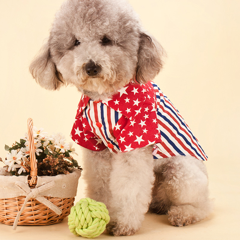 星条旗衬衫小狗狗衣服背心吊带贵宾泰迪犬比熊宠物服装春夏款卫衣