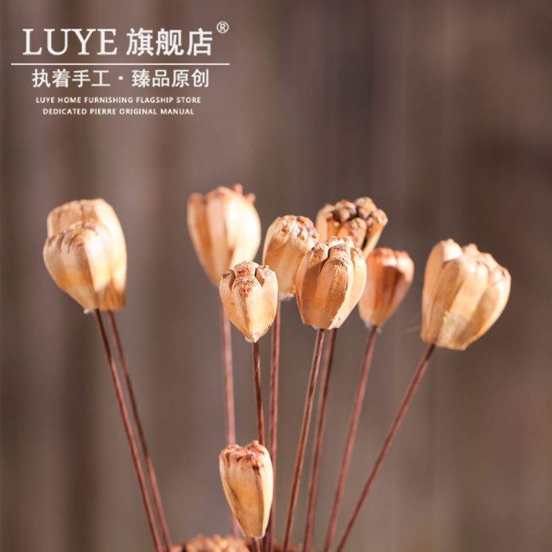 luye��Ȼ�ɻ�����