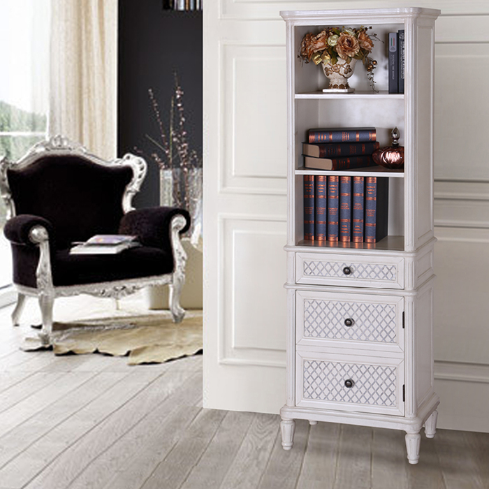 ������ʽʵľ˫�շ¹����TY685