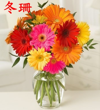 爸爸父亲毕业典礼石柱县扶朗太阳花长沙株洲洪江重庆同城鲜花速递