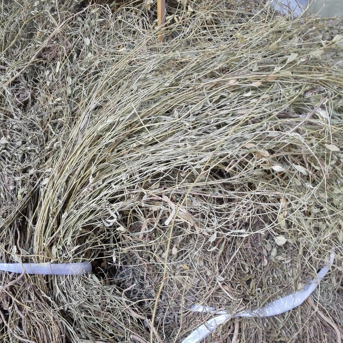 Chinese herbal medicine herringbone grass tingen sunflower oolong grass tingen grass 500 gr