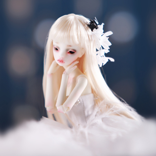 dz bjd