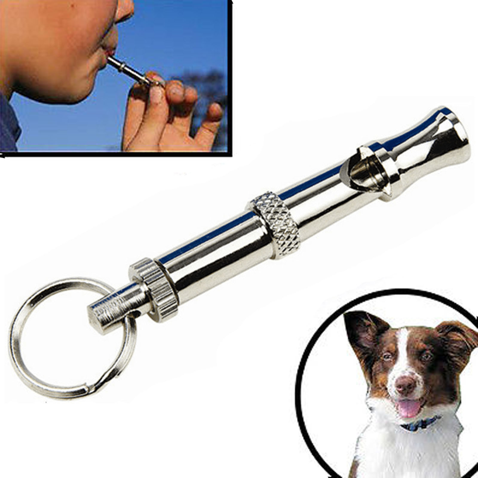 Wholesale dog whistle pet training supplies dogpipepigeon flute ultrasonic whistle dog instrument small number adjustable audio