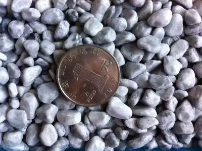 Natural gray small stones, washed stones, terrazzo, fish tank, bottom paving, courtyard decoration, beautification, small stones