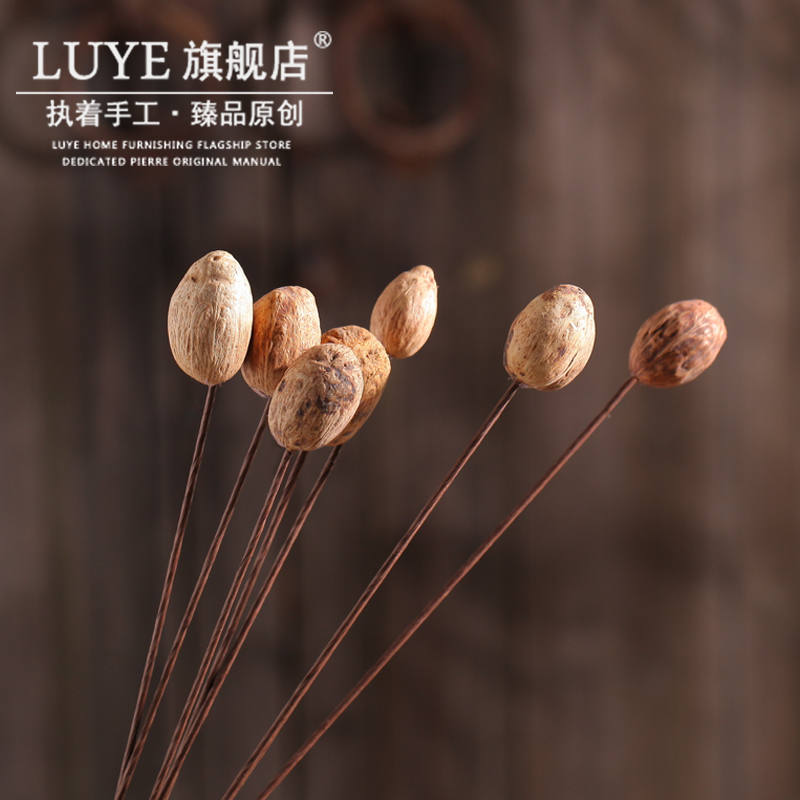 luye��Ȼ�ɻ����ܻ����ڼ�