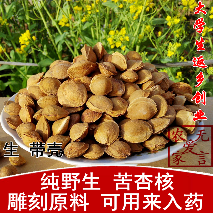 Farm field picking medicinal apricot core bitter apricot core mountain apricot core raw bitter almond (with shell) 250g
