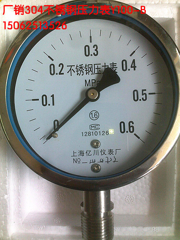 304 STAINLESS STEEL RADIAL pressure GAUGE Y100-B 0-0 611 62 54610162540MPA