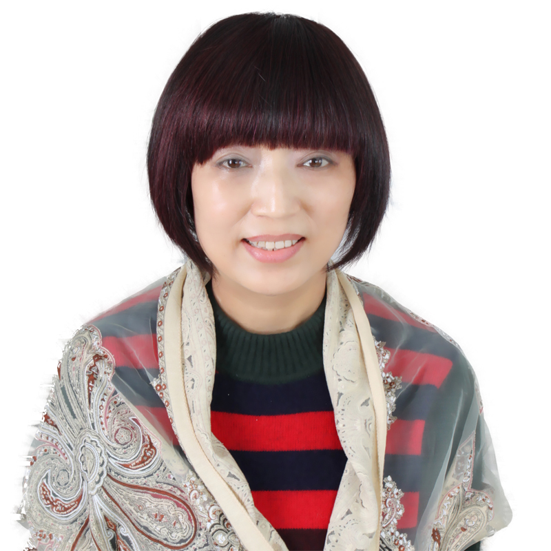 磊磊时尚全手工女士头套短发bobo头齐刘海短直发手织逼真发套正品