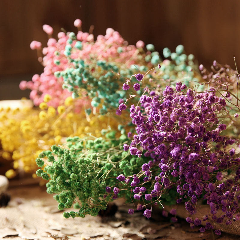 ��ױ���˽�������������