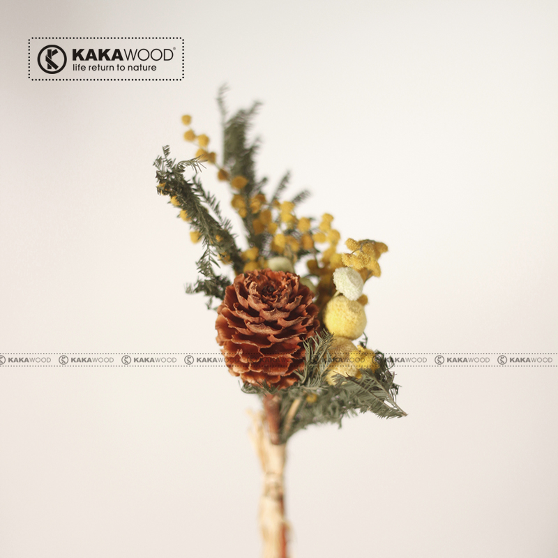 �ؾӼҾ� ֲ��ɹ��ɻ�