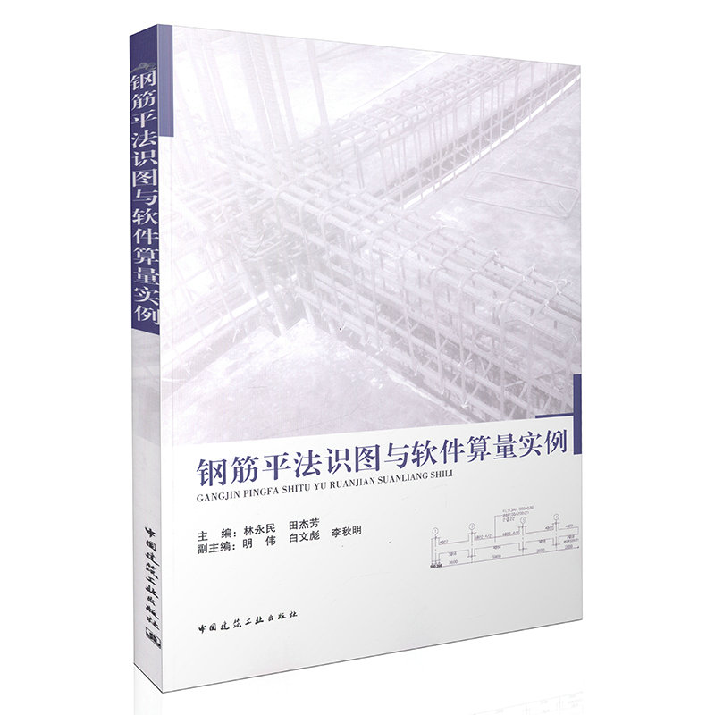 钢筋平法识图与软件算量实例