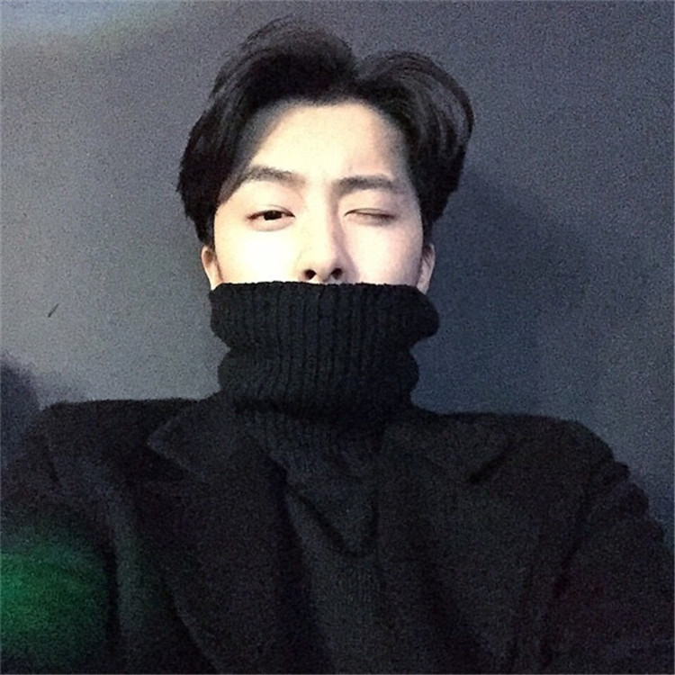 INSstudios winter trend ins Korean version all-match basic solid color turtleneck sweater sweater men and women tide