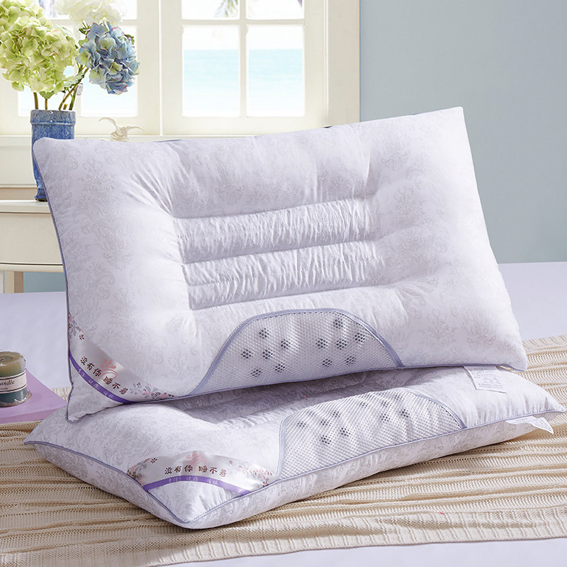 ��������һ��װ��������ͷZT02