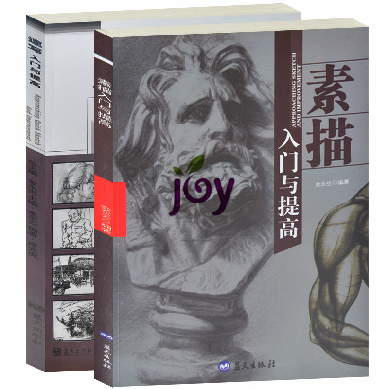全2册 素描入门与提高+速写入门与提高 如何学好画好素描速写入门基础教材教程图文详解 素描速写作品赏析 静物人物头像半身像素描
