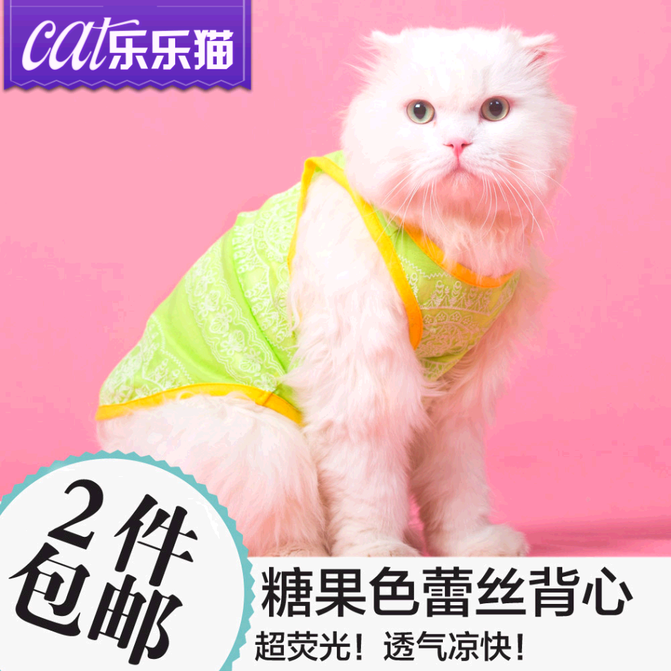 夏天糖果色蕾丝猫咪背心清凉透气 猫猫衣服猫咪衣服宠物服饰